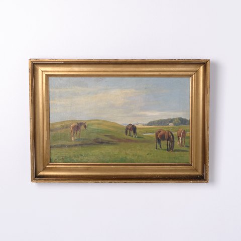 Paintings on canvas