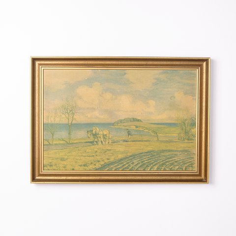 item no: 638896